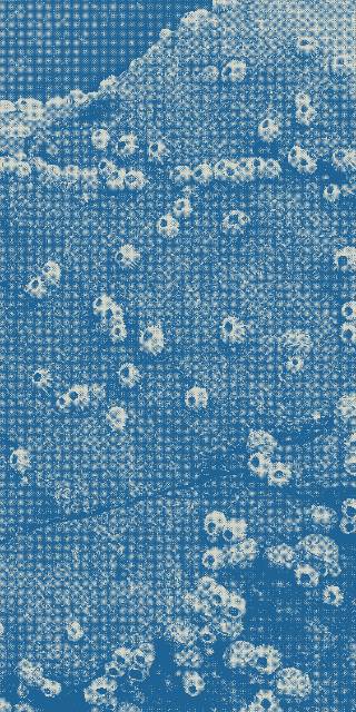 The Bruny Shore paddock sets an idyllic foreground for fluffy afternoon clouds.